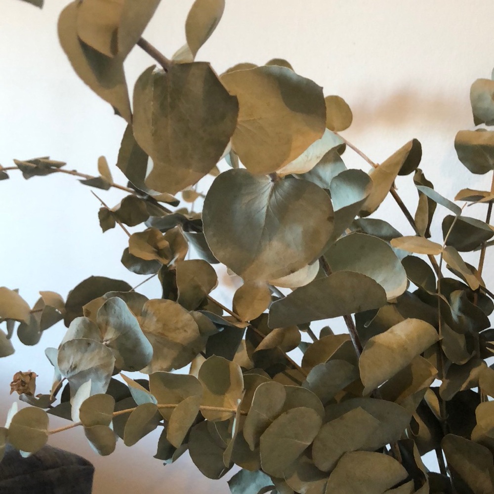 Meet your Posher, Lillian